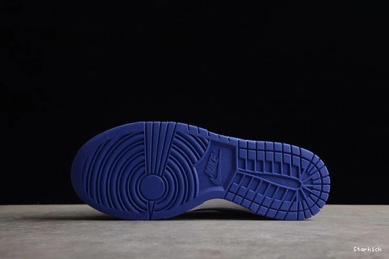 Blueberry Nike Dunk DZ4456-100 (GS) Low 0122